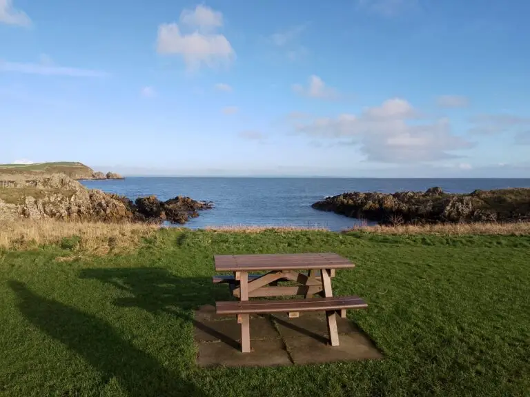 wooden bench looking out to sea