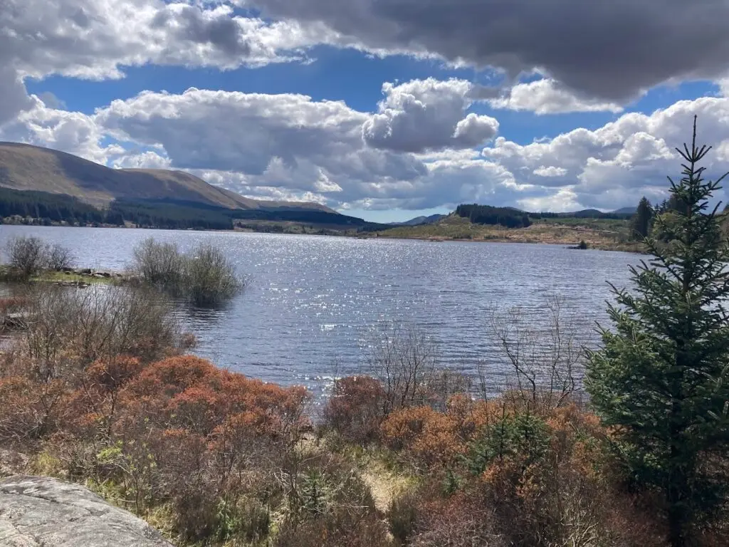 Loch Doon water scene