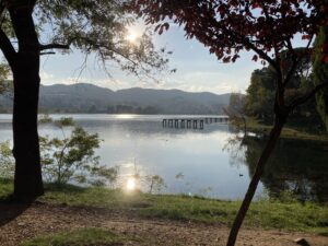 View of Grand Lake Tirana